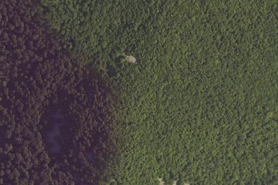 Camp site