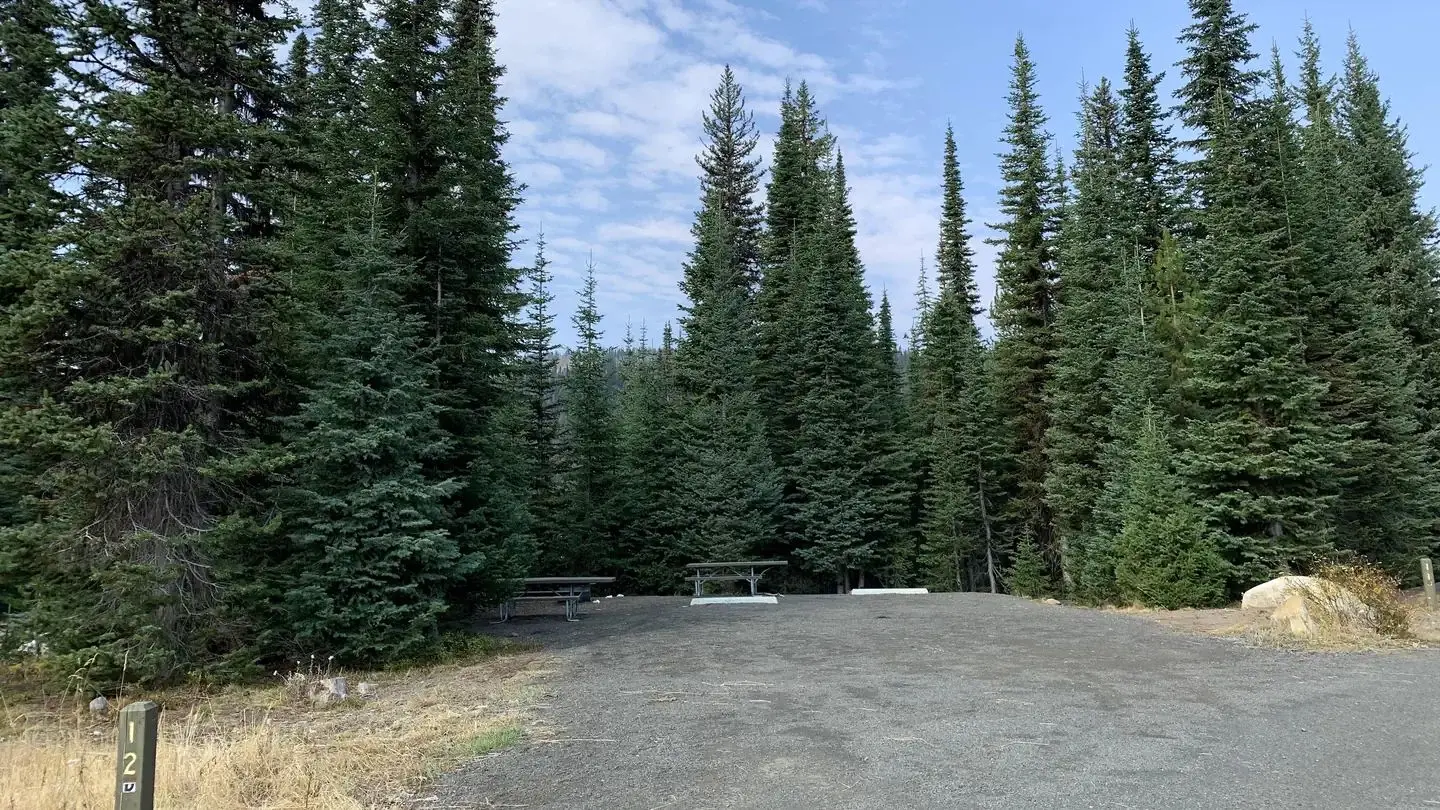 Campsite with graveled parking area in the foreground, and picnic tables surrounded by tall conifer trees in the background