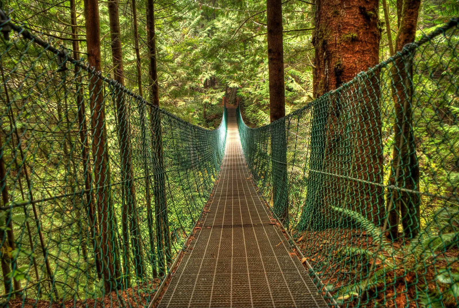 Photo of Juan de Fuca Park