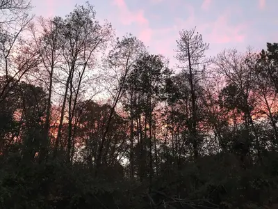 Forked Run sunset (37819574946)