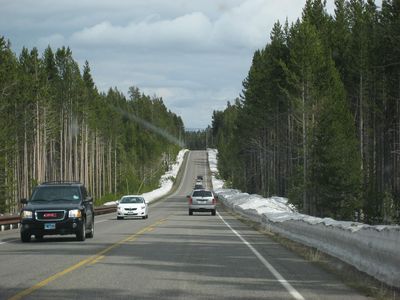Yellowstone NP, Wv - panoramio