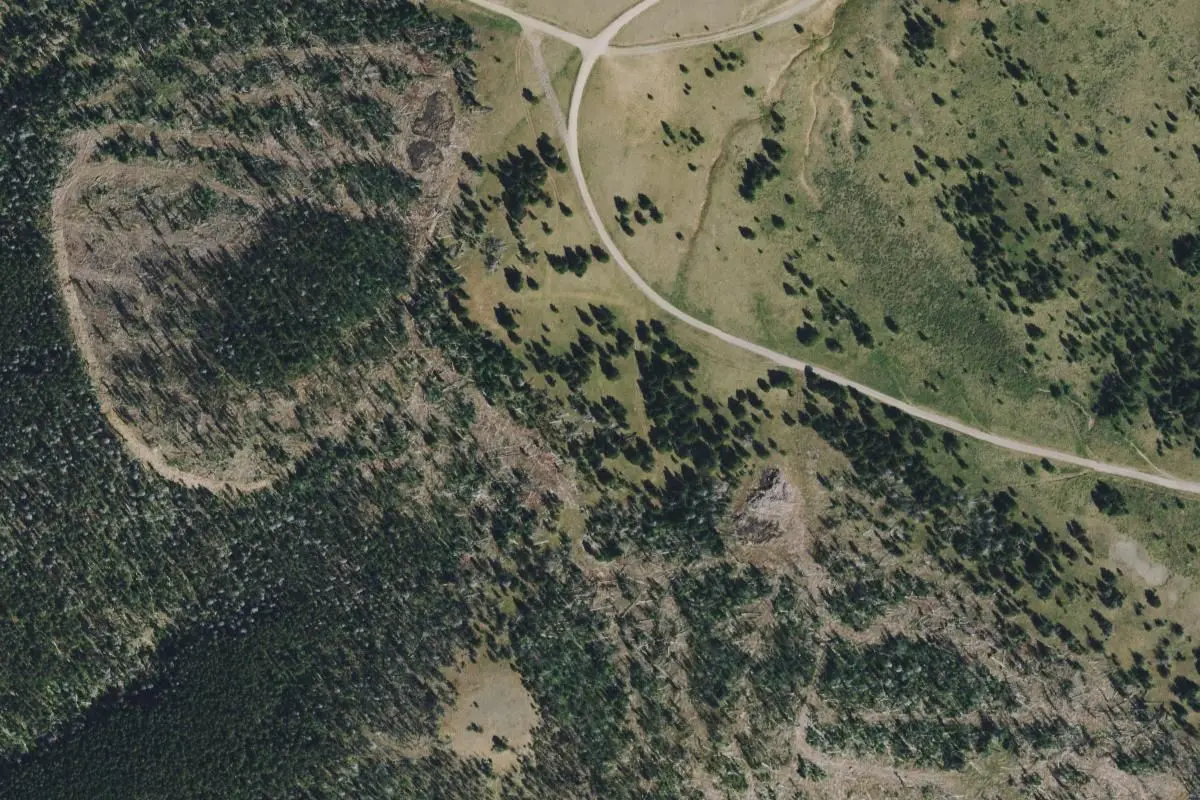 Aerial view