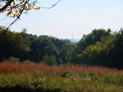 View from the Rest Area 106 - panoramio