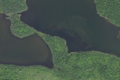 Rose Lake #1