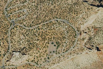 Saddlehorn Campground (Loop C)