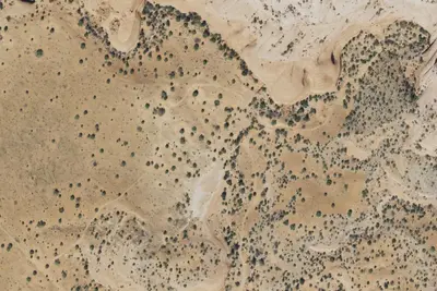 Camp site