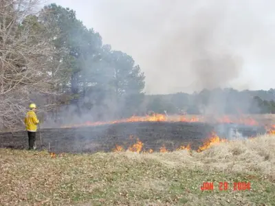 Prescribed Burns at Panola Mtn. Power of Flight Area - panoramio