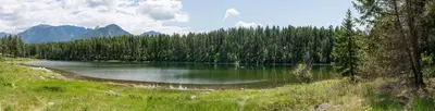 2025-06-04-210227 CAN British Columbia East Kootenays (Fernie) 804.3-Pano