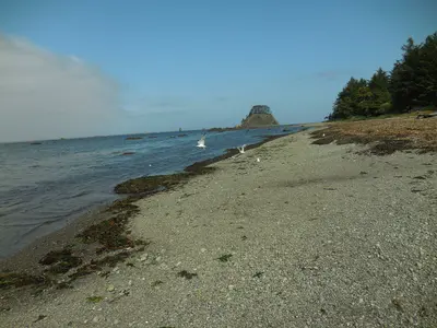 Seastacks north of ozette triangle wilderness coastline c bubar july 2014 (16691390564)