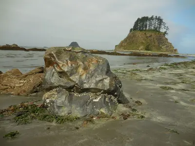 Island near cape alava wilderness coastline north c bubar july 2014 (17313354431)