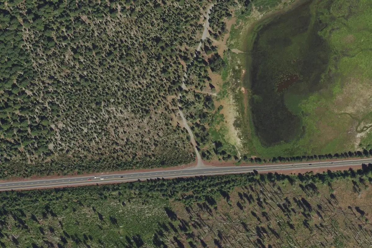 Aerial view