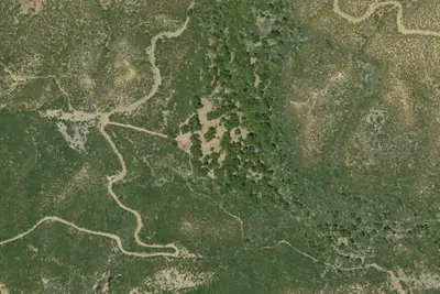 Bluff Camp