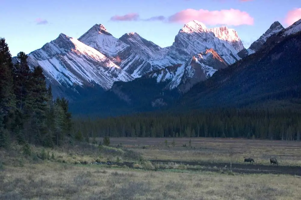 Photo of Spray Valley Provincial Park