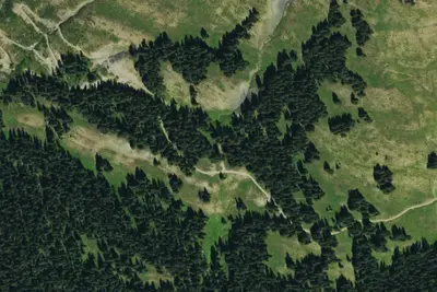 Camp site