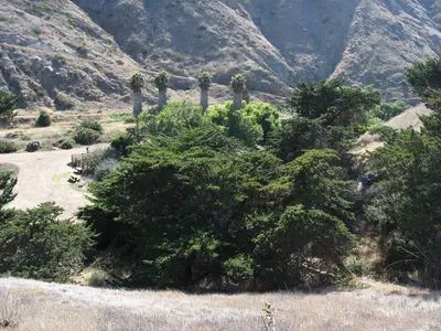 Scorpion Ranch, Santa Cruz Island, Channel Islands National Park (13) (4082640653)