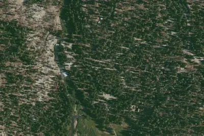 Camp site