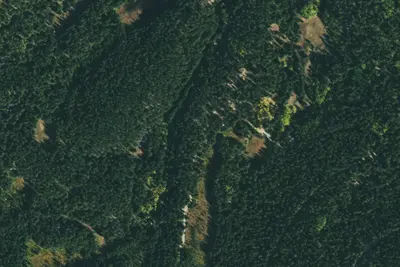 Camp site