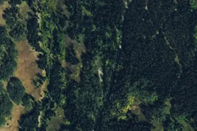 Camp site