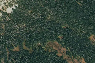 Camp site