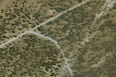 Camp site