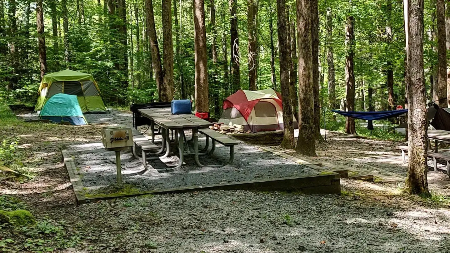Cosby Group site