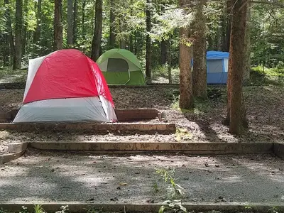 Group Camp