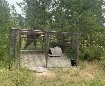Historic forest service cabin with a dog kennel.