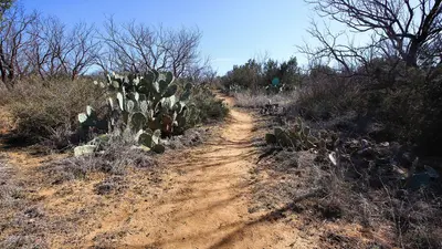Cactus Cut Trail Lake Colorado City SP Texas 2023