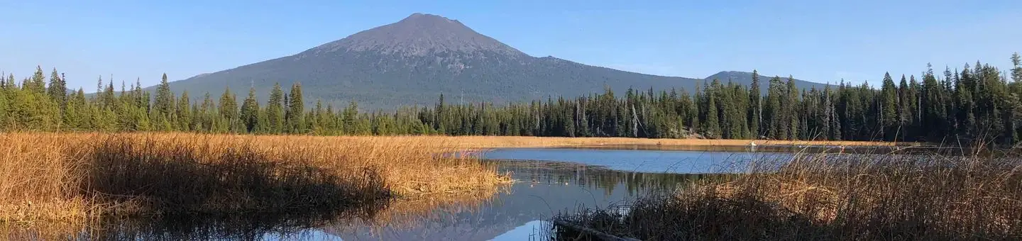 Mt. Bachelor from Hosmer Lake