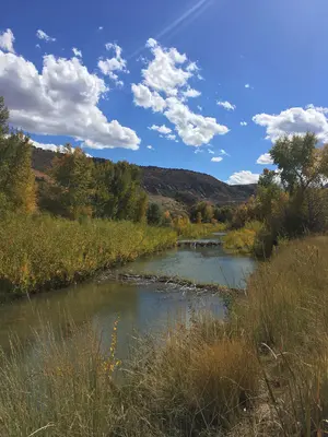 Canyon fall leaves