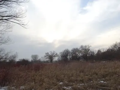 Token Creek County Park - panoramio