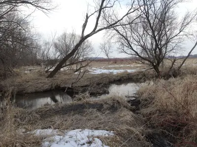 Token Creek - panoramio