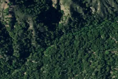 Tony Trail Primitive Camp