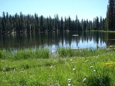 Summit lake with meadow
