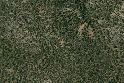 Camp site