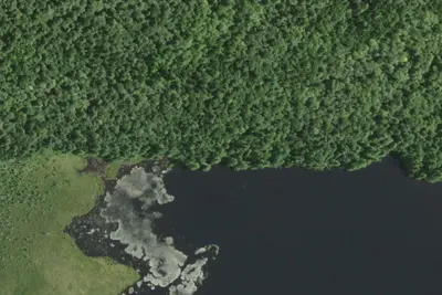 Forked Lake West-end Campsite