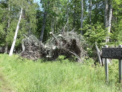 100mph wind damage - panoramio