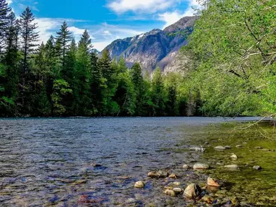Placid river bordered by lush forests with tall mountains in the distance