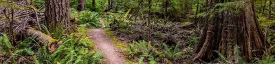 Newhalem Creek Campground