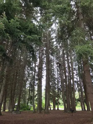 Kitsap Memorial State Park, Poulsbo, United States May 24, 2020 03-55-13 PM