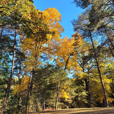 20221017-FS-SHA-SH-002 USDA Forest Service photo by Suzanne Hirsch