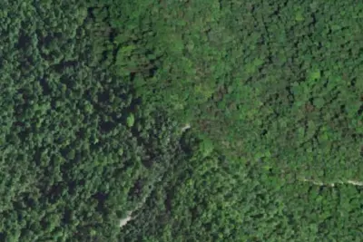 Black Bear Campground