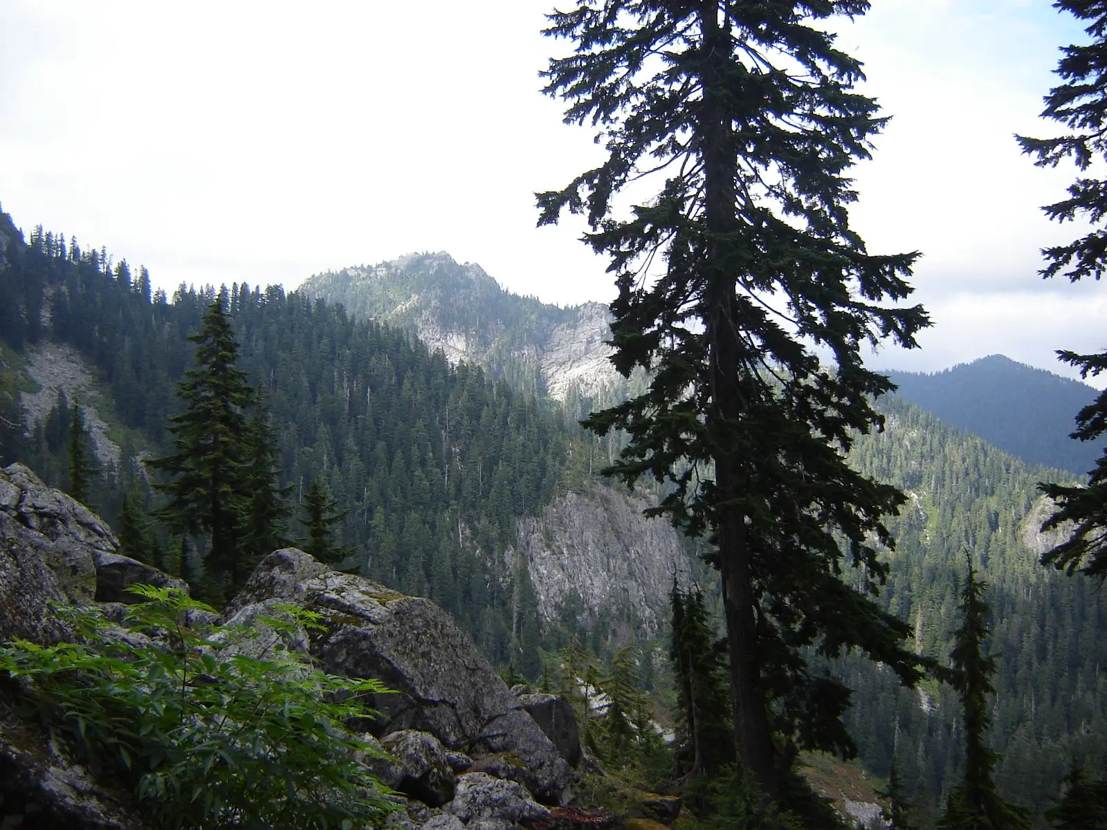 Photo of Mount Seymour Park