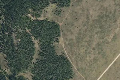 Camp site