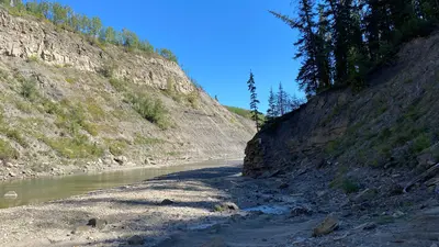 Kiskatinaw River canyon on Alaska hiway north of Fort St John BC (51427479607)