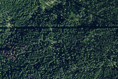 Pnt03 Tr92 Site C