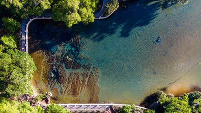 Salt Springs Campground