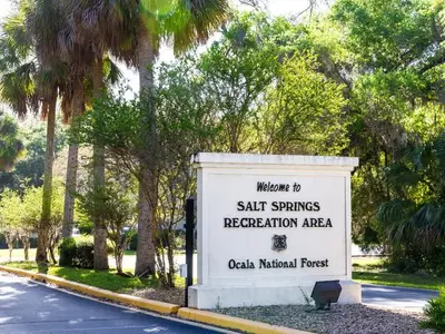 Welcome to Salt Springs - Entry