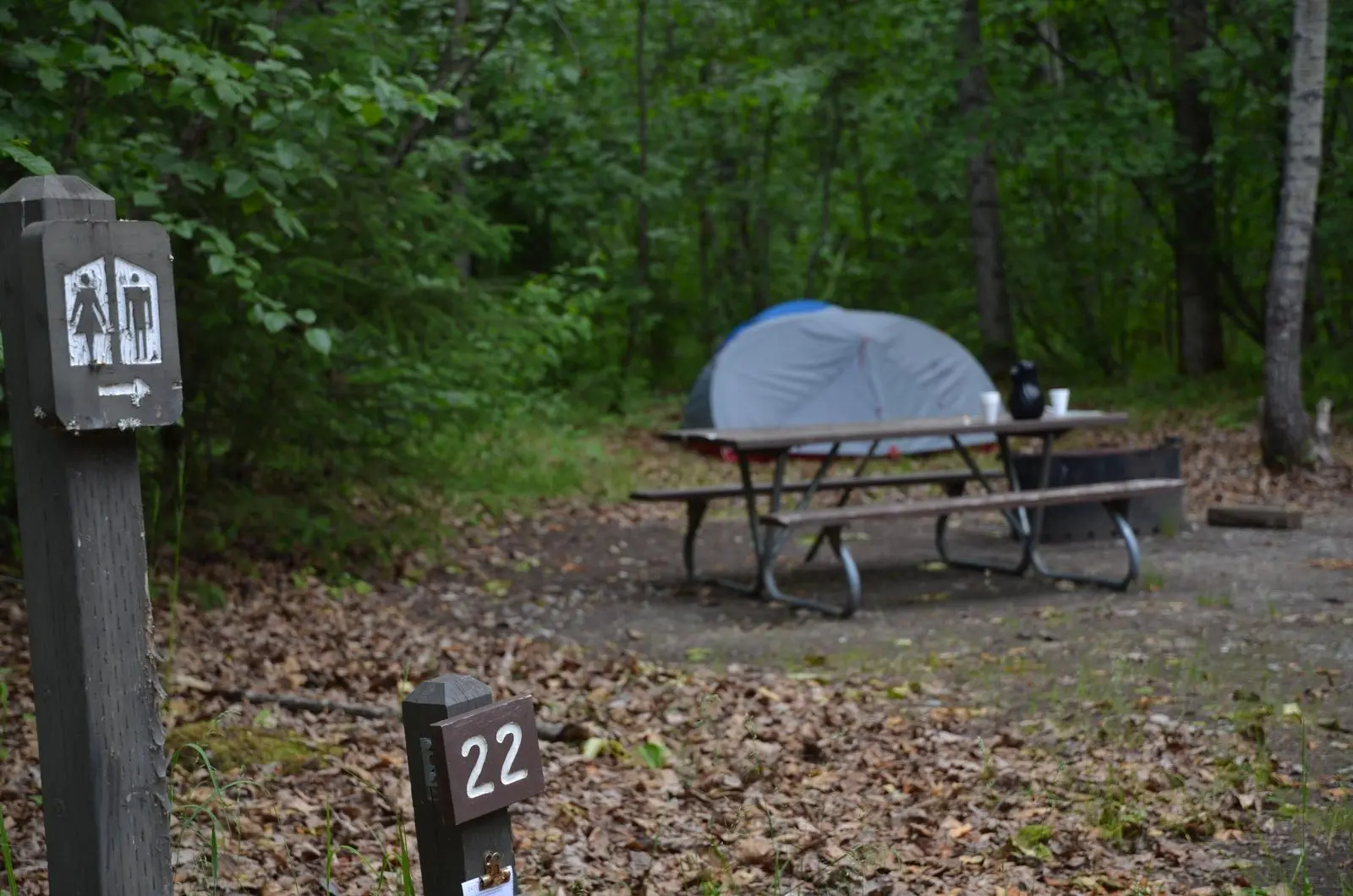 Campsite 22