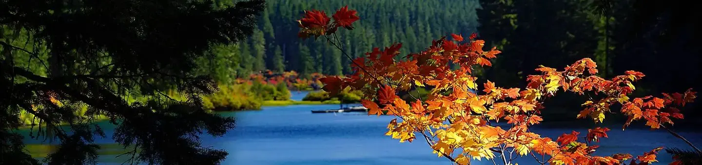 Clear Lake, Willamette National Forest